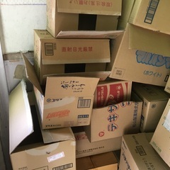 ダンボール