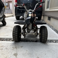 条件付き交換可。日本ライフ社エミュー。の画像