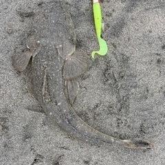 釣りサークル🐟メンバー募集！