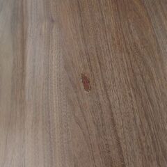残り1台　シモンズ　ツインコレクション　ダブルクッションシングルベッド【愛品倶楽部柏店】の画像