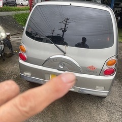 ミニカタウンビーの画像