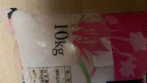 お米10kg