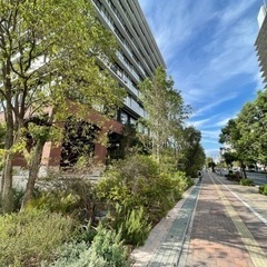 ☆建設作業員急募 手取り18万〜38万。日給、週払い相談可能の画像