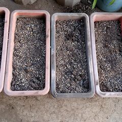 【お取引中】プランターと栽培用土セット2