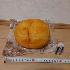 メロンパンスクイーズ🍞