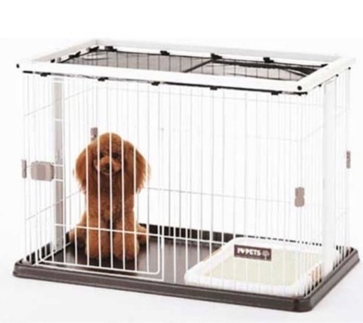 小型犬、ゲージ、中古、早い者勝ち、多少の値段交渉あり⭕️