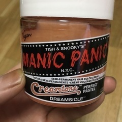 マニックパニック　ドリームサイクル