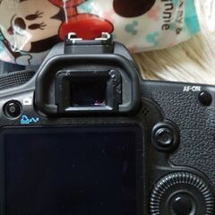 Canon EOS 5D MarkⅡ  本日のみ値下げの画像