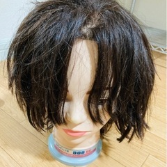 モデルウィッグ