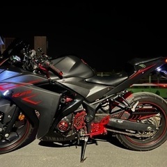 yzf-r25 2017年式　カスタム多数