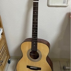 ARIA 初心者ギター スタンドとバッグ付き