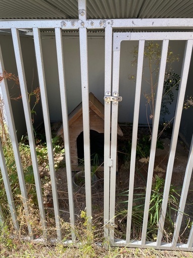 犬小屋　屋外