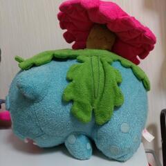 ポケモンぬいぐるみ③の画像