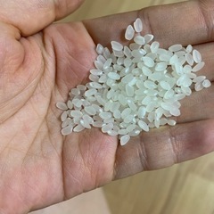 ヒノヒカリ　熊本のお米の画像