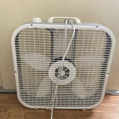 LASKO 扇風機の画像