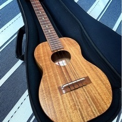 コアロハ　テナー　ウクレレ　Koaloha    KTO-10 UG Tenor