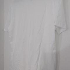新品⭐ZARA白Tの画像