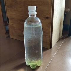 ゾウリムシの画像
