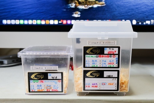 ヘラクレスオオカブトNO.7