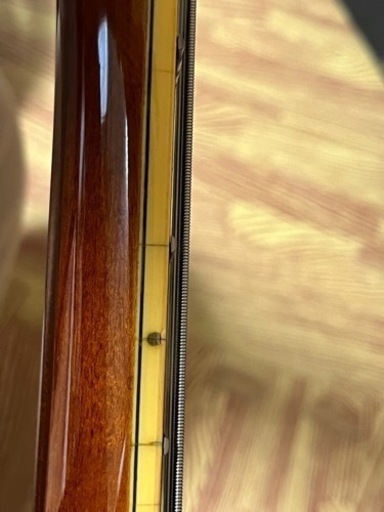 Epiphone セミアコ