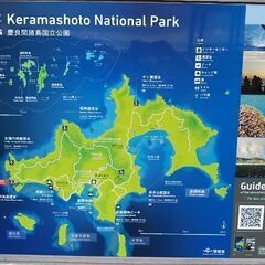 沖縄離島の漁協でお仕事の画像