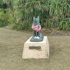 沖縄離島の漁協でお仕事の画像