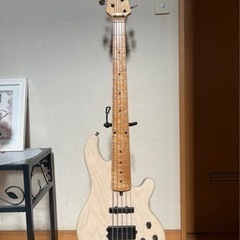 LAKLAND レイクランド　55-94 USA製　5弦ベース