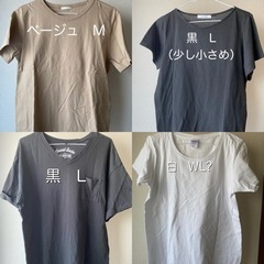 半袖Tシャツの画像