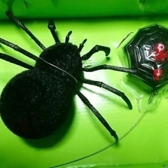 動くくもおもちゃ　BLACK スパイダーの画像
