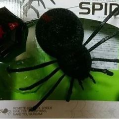 動くくもおもちゃ　BLACK スパイダーの画像