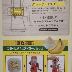 新品未使用 フルーツアイスメーカー 100%FRUITS の画像