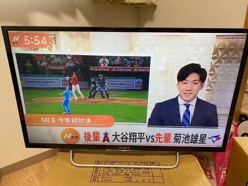 テレビ TV