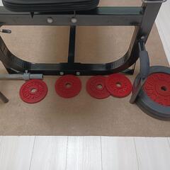 自宅で鍛えれますの画像