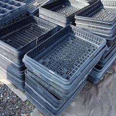 苗箱（中古できれいなものではありません）の画像