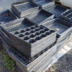 苗箱（中古できれいなものではありません）の画像