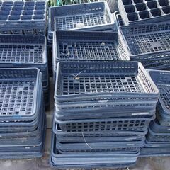 苗箱（中古できれいなものではありません）