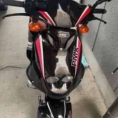  pmx110