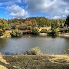 ゴルフ サークルメンバー募集❗️