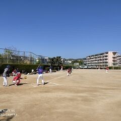 8/19(土)　ソフトボール紅白戦　参加者募集