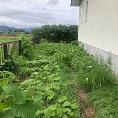 ドコモ基地局草刈りの画像