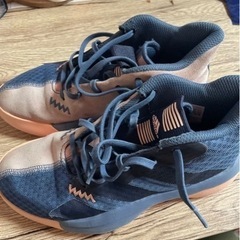バッシュ　22.0㎝　adidas