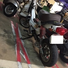 シャリィ　88cc