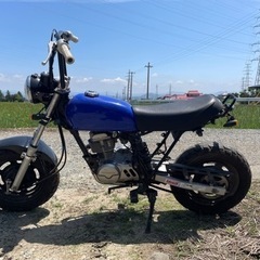 APE50 原付の画像