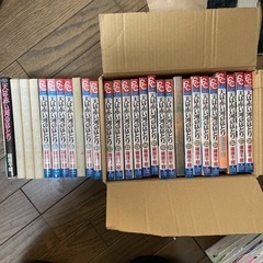 天は赤い河のほとり　全巻セット