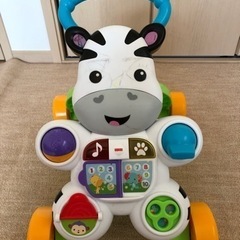 顔の落書きが気になるけど、まだまだ歩けるシマウマウォーカーの画像