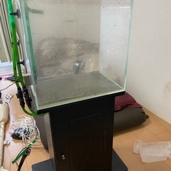 ガラス水槽+外部フィルター+キャビネット