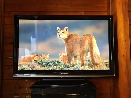 Panasonic プラズマテレビ 42形 TH-P42G1 めちゃ綺麗です リモコンが壊れているので本体と電源コードのみ