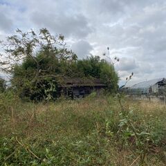 土地/50万円/常総市中妻町