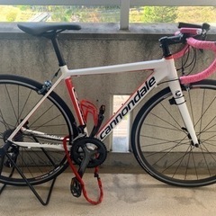 cannondale optimo Tiagra 2018 ロー...
