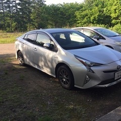 プリウス 50  4WD 値下げしましたの画像
